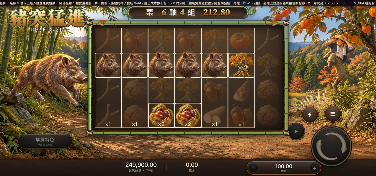 豬突猛進 — 衝刺與撞樹