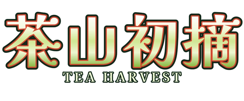 茶山初摘 Tea Harvest
