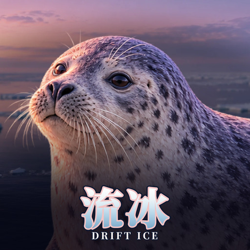 流冰 Drift Ice